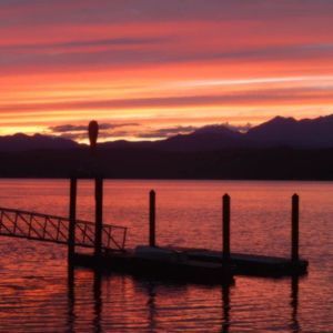 Meet your Posher, Ginger